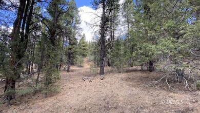 Terrain