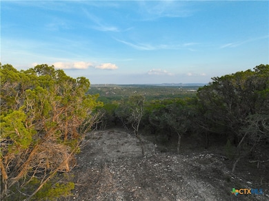 100 Acres N Cranes Mill Rd, Canyon Lake, TX 78133 - photo 2