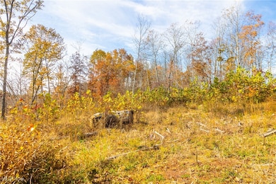 0 Hambel Rd, Union Township, OH 43758 - photo 3