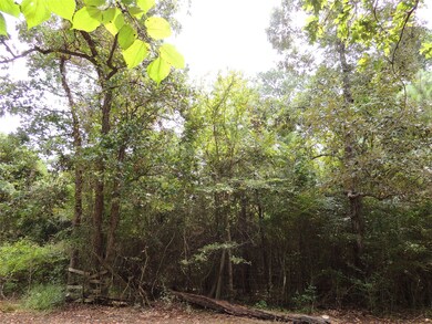 Lot 32C and 33A Rose Cir, Magnolia, TX 77355 - photo 6