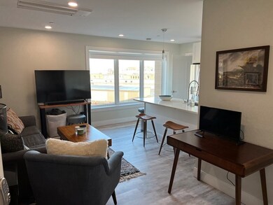 200 Old Colony Ave unit 501, Boston, MA 02127 - photo 3