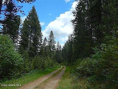 NKA Hwy 95, Athol, ID 83801 - photo 4