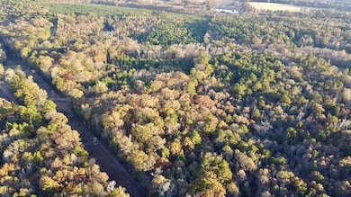 10414 Cactus Rd, Ore City, TX 75683 - photo 3