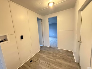 2520 New Era Rd unit 13, Murphysboro, IL 62966 - photo 6