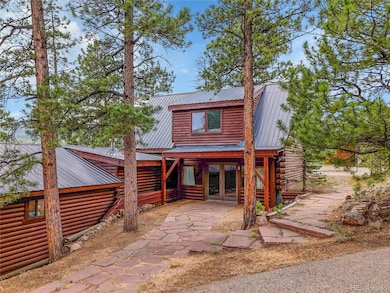 226 Bandit Ln, Bailey, CO 80421 - photo 5