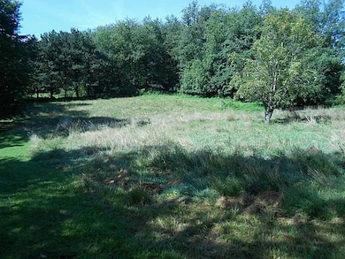 Land/Lot. Excellent view showing the acreage
