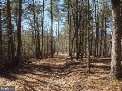 0 Reddish Knob Rd unit PARCEL 3 WVPT101148, Sugar Grove, WV 26802 - photo 3