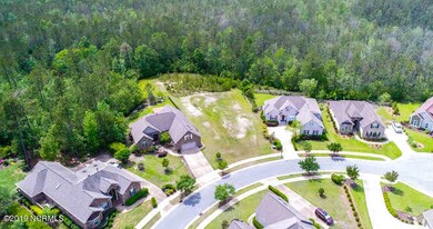 1007 Dowling Ct Leland NC-small-008-9-DJ