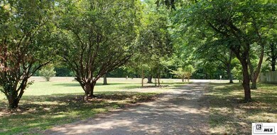 10797 Shelton Rd, Bastrop, LA 71220 - photo 7
