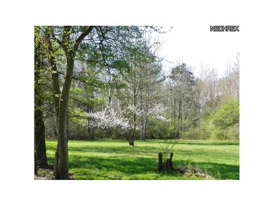 Side yard meadow with early spring blooms.  The pr