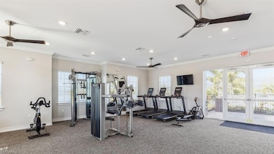 Workout area with crown molding, carpet floors, fr