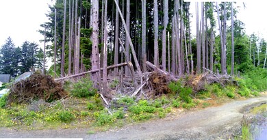 1900 BLK SE Oar Dr, Lincoln City, OR 97367 - photo 3