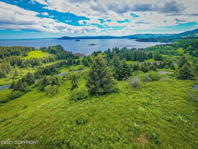 6103 Pinnacles Ct, Kodiak, AK 99615 - photo 2