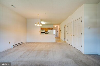 204 Sunbrook Ln unit 150, Hagerstown, MD 21742 - photo 6