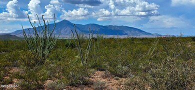 TBD E Beech Craft Blvd, Bisbee, AZ 85603 - photo 3