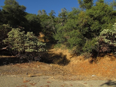 Potential access road on left side of property.