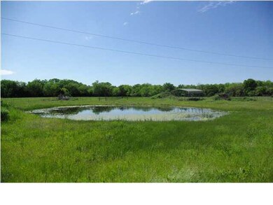 Pond from Drive