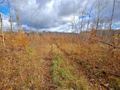 0 Mancelona Rd unit 25571179, Mancelona, MI 49659 - photo 6