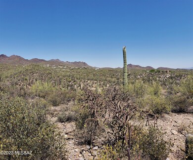 VIEW TO THE NW FROM SOUTHERN EDGE