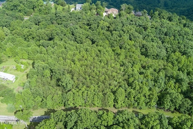 7-Lot 16 Browns Gap Rd_052_TNPC