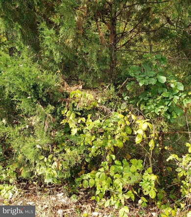 0 Egypt Rd unit WVJF139822, Kearneysville, WV 25430 - photo 2