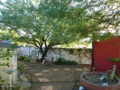 mesquite tree