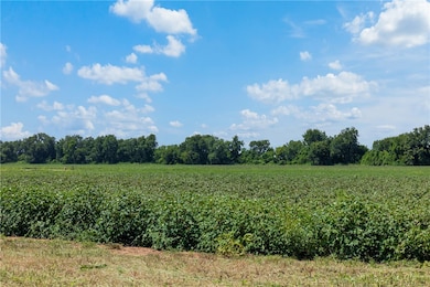 000 Farm Road 50, Snook, TX 77879 - photo 3