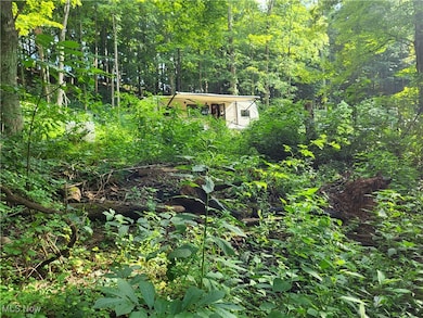 5855 Olney Run Rd, McConnelsvle, OH 43756 - photo 5