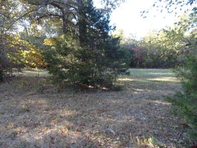 001-02053-004 Hand Cove Rd, Elizabeth, AR 72531 - photo 4