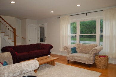 305 Tamarack Ave, Naperville, IL 60540 - photo 7