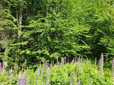 00 Balancing Rock Rd, Franconia, NH 03580 - photo 7