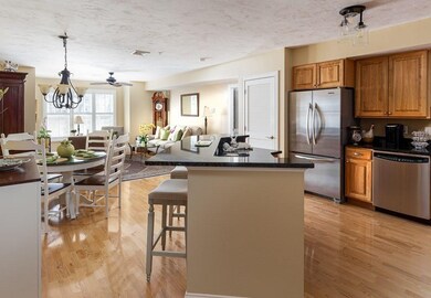 15 Summer St unit 108, Franklin, MA 02038 - photo 6