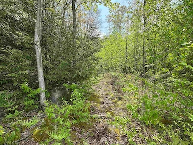 Lot 11 Tuscan Ridge Rd, Davis, WV 26260 - photo 2