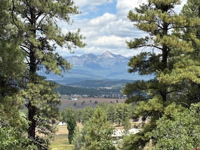 599 Pineview Rd, Pagosa Springs, CO 81147 - photo 6