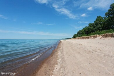 15620 Streed Ave, Union Pier, MI 49129 - photo 4