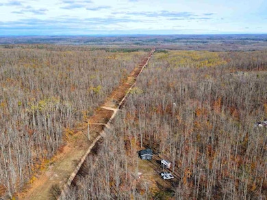 16762 N Sunshine Trail, Vanderbilt, MI 49795 - photo 2