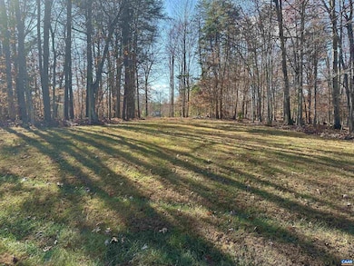 Lot 34 Keswick Ln unit 34, Keswick, VA 22947 - photo 2