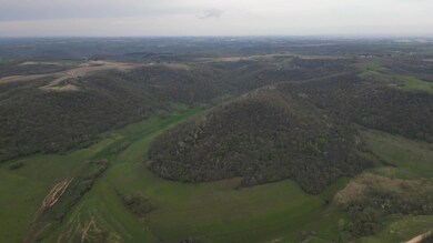 tbd Cty13, Pleasant Hill Township, MN 55943 - photo 2