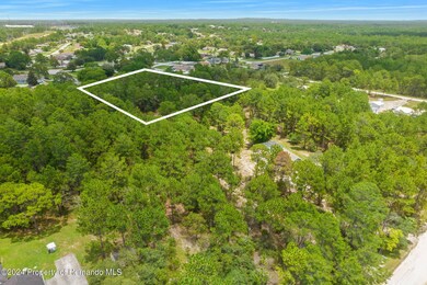 38-web-or-mls-DJI_0146lines