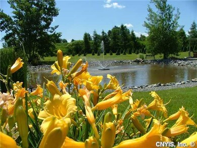 View. Wow!!!!! This incredible pond sits in the fr