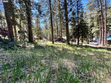 0 Forest Dell Ave unit 622201546, Wallowalake, OR 97846 - photo 3