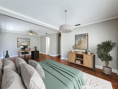 6001 Lemon Tree Ct, Tampa, FL 33625 - photo 4