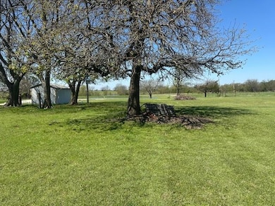 View of grassy yard