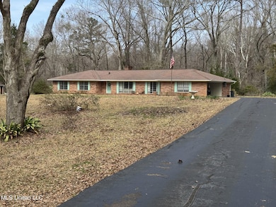 40 Old Courthouse Rd, Natchez, MS 39120 - photo 5