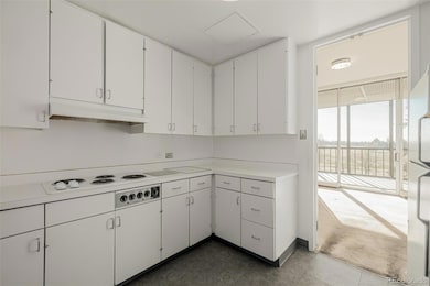 1201 N Williams St unit 5C, Denver, CO 80218 - photo 7