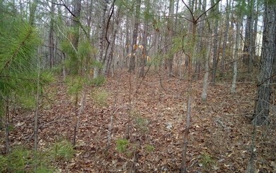 Additional View