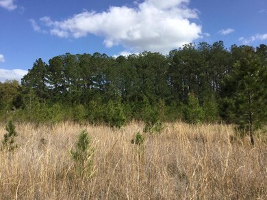 BC11F4C5-7389-40EF-A8B3-4A23CE6B70F0