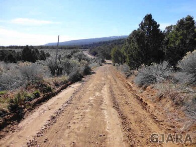 Bobs Road coming in off S. 21.5 Rd