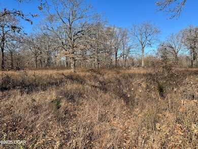 9479 S 670 Rd, Wyandotte, OK 74370 - photo 3