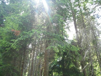 9302 123rd Ai Ave, Anderson Island, WA 98303 - photo 7